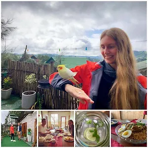 Bed and breakfast Golden King Guest Nuwara Eliya